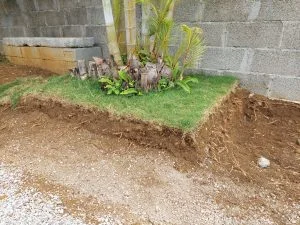 COVID-19 Challenges: Crafting the new garden at AHEAD’s Head Office